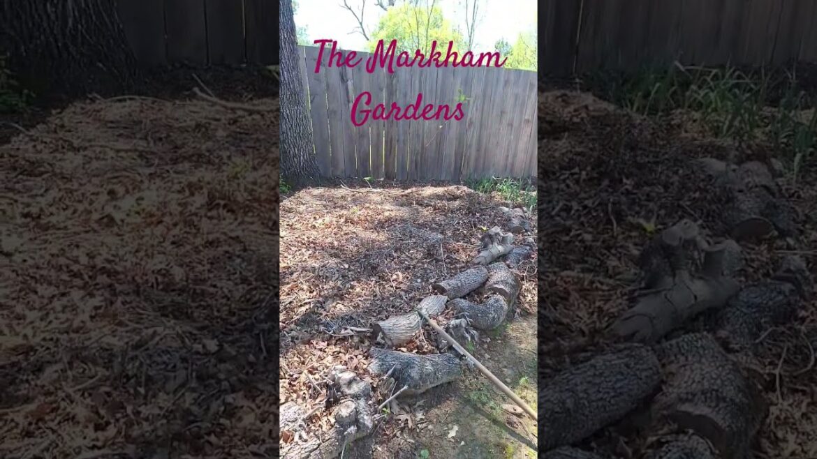 Mulch 2 Soil! One year progress ‎@TheMarkhamGardens             #gardening #gardeningtips #mulching