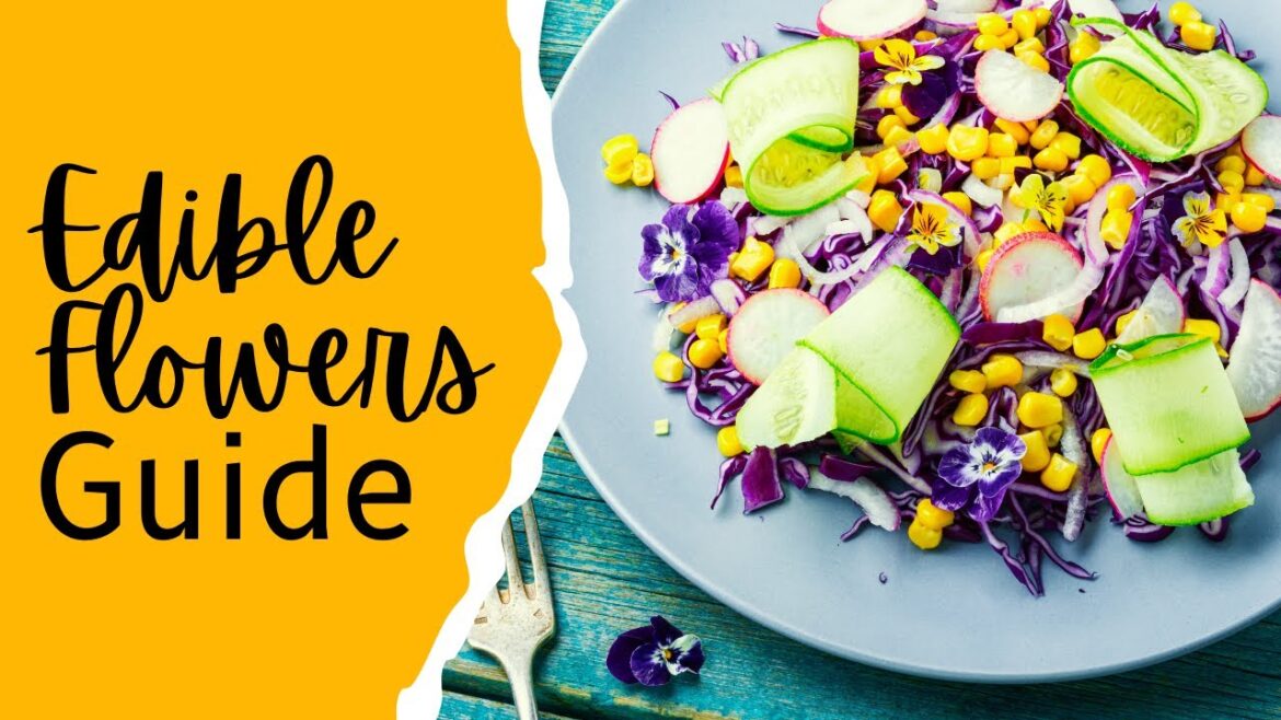 Exploring the World of Edible Flowers | Elevate Your Cooking Exploring the World of Edible Flowers | Elevate Your Cooking