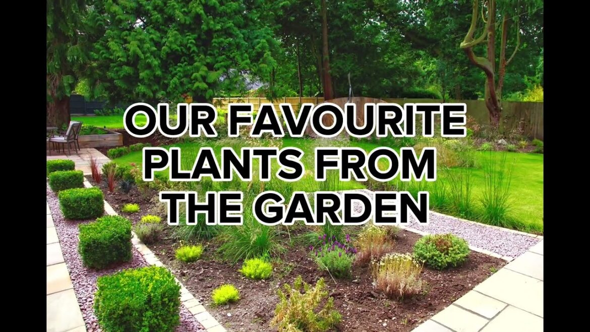 Garden Landscaping Ideas UK – Garden Plants Ideas – Done By Fullers Landscaping! Garden Landscaping Ideas UK - Garden Plants Ideas - Done By Fullers Landscaping!