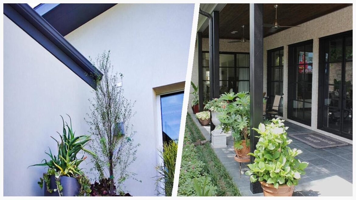 75 Premium Patio Container Garden Design Ideas You'll Love 😊