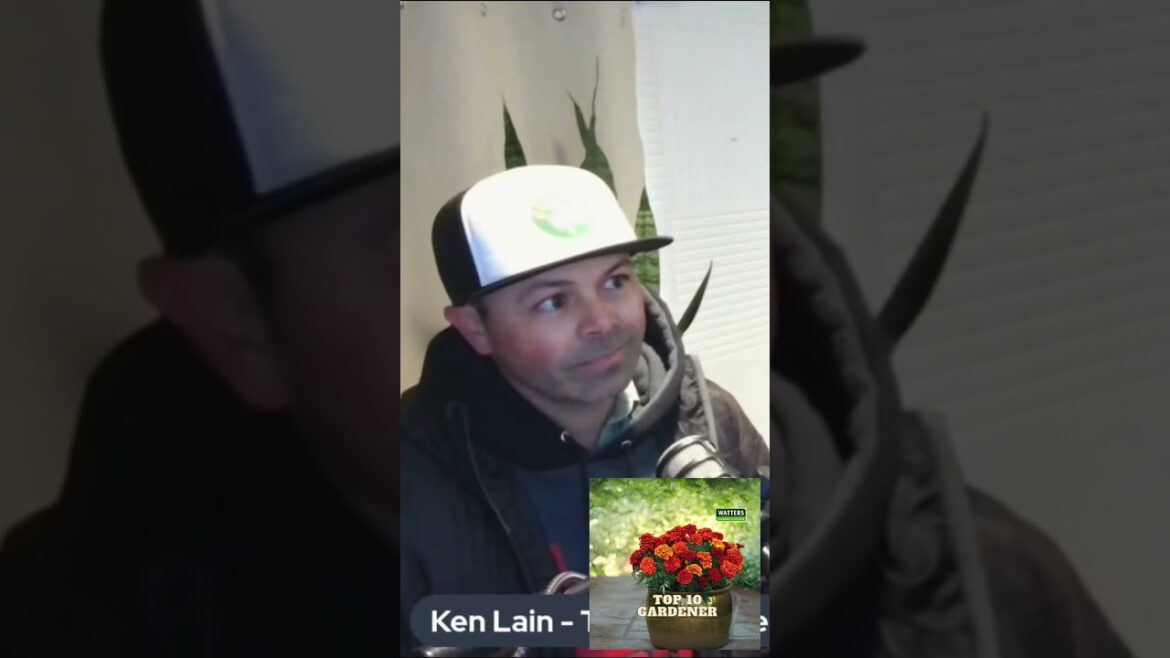 Discover the Hidden Gems of Northern Arizona Gardening - Trees of Corrales