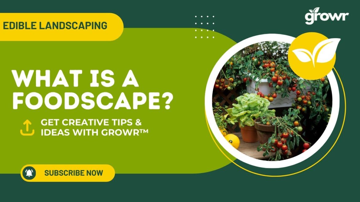 What is a Foodscape? Discover the Art of Edible Landscapes! What is a Foodscape? Discover the Art of Edible Landscapes!
