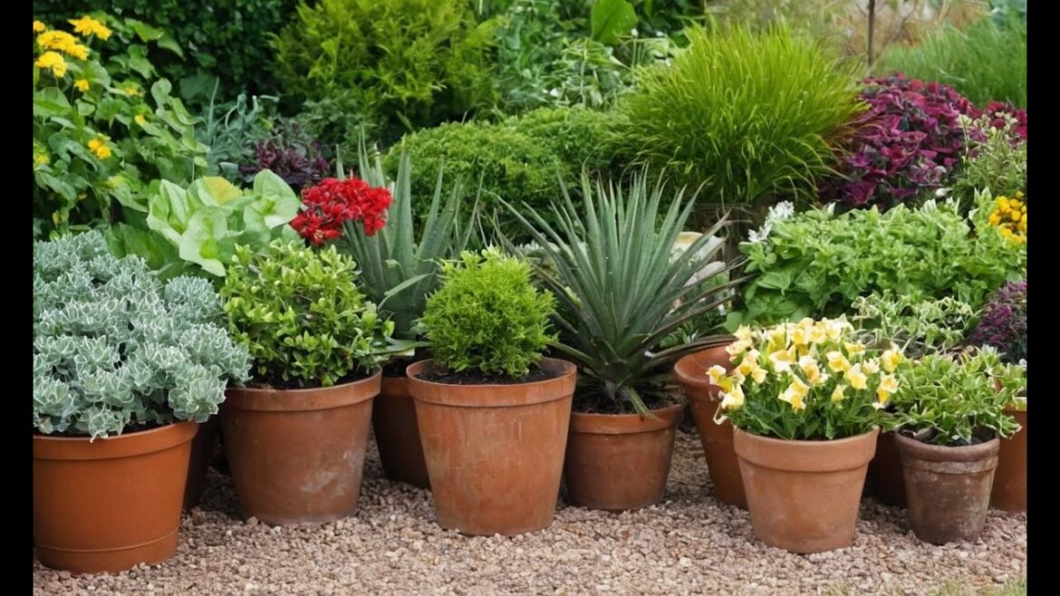 Kickstart Your Green Thumb: The Ultimate Gardening Starter Kit Kickstart Your Green Thumb: The Ultimate Gardening Starter Kit