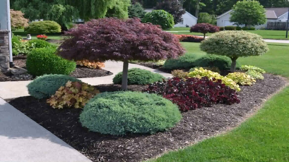 Front Yard Landscaping Ideas With Black Mulch
