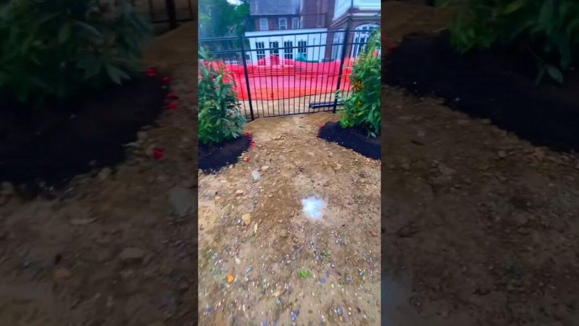 BEAUTIFUL Landscape Transformation BEAUTIFUL Landscape Transformation