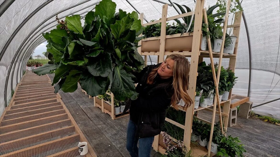 BIG Perennial Plant Delivery! 🌿🙌🥰 // Garden Answer