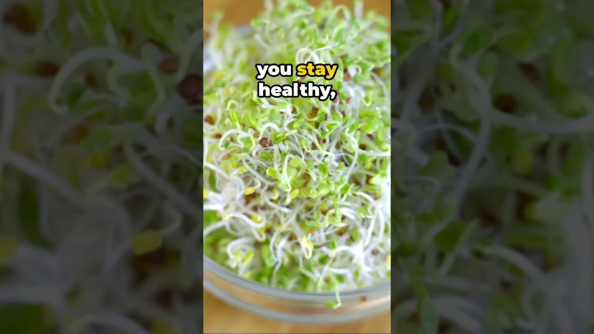 Superfood Spotlight: Broccoli Sprouts 🥦  #healthylifestyle
