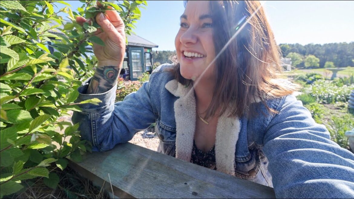 Roots and Refuge Farm: My Mama Bear Comes Out (Look at the cool garden stuff) | VLOG My Mama Bear Comes Out (Look at the cool garden stuff) | VLOG