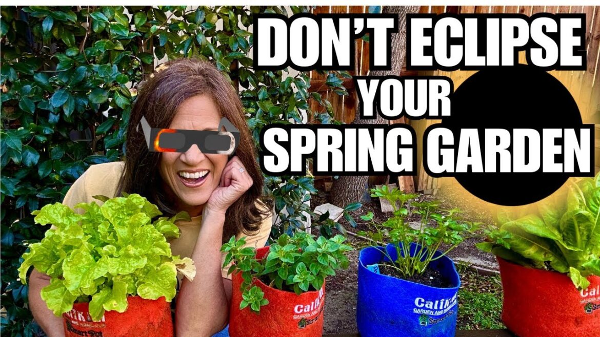 🍅LIVE: Don’t ECLIPSE Your Spring Garden
