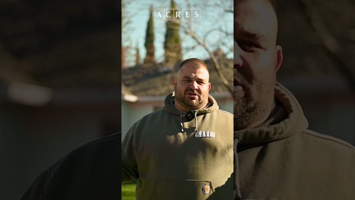 Transforming A Client’s Yard: Irrigation, Hardscape And Plant Upgrades! #revamp #gardeninspiration Transforming A Client's Yard: Irrigation, Hardscape And Plant Upgrades! #revamp #gardeninspiration