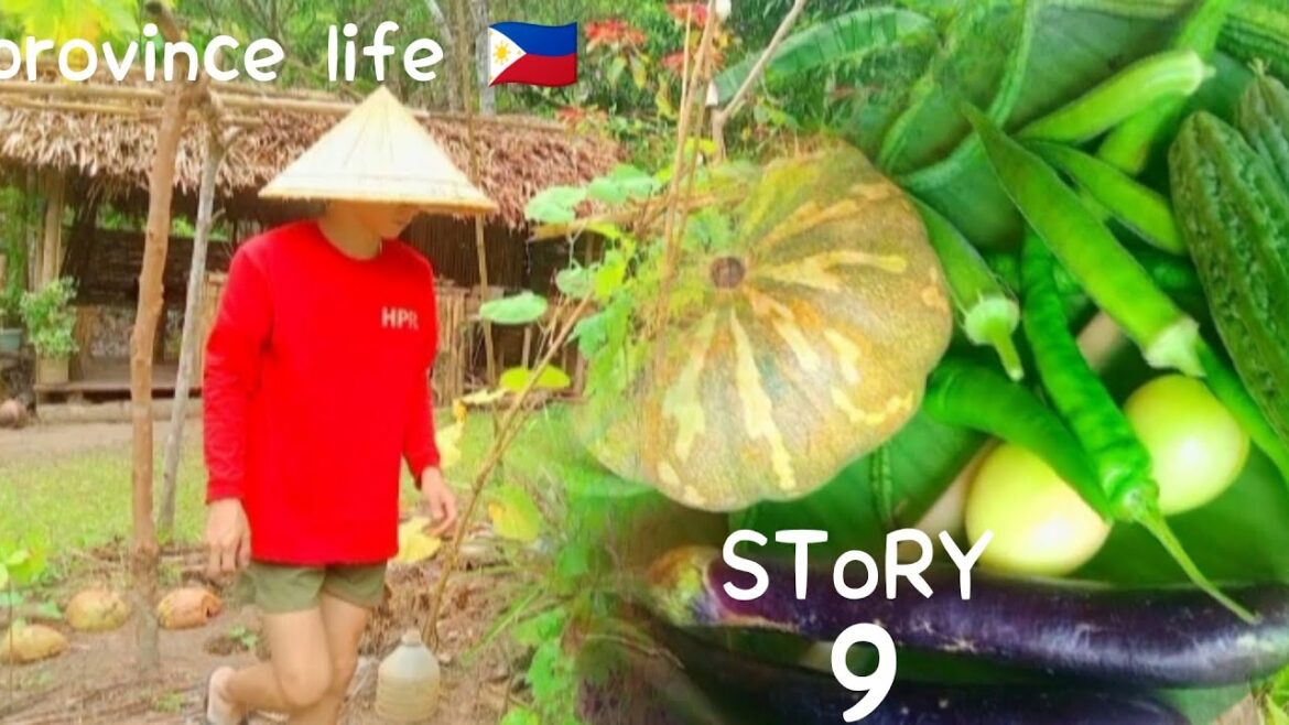[PINAKBET] Harvesting Variety of Vegetables from our backyard garden | Countryside meal |  Province