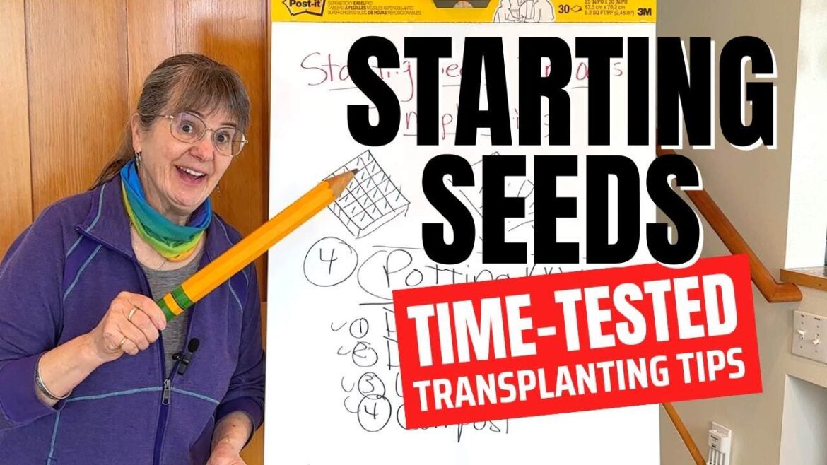 Starting Seeds Indoors – My Top Tips For Transplanting Seedlings Starting Seeds Indoors - My Top Tips For Transplanting Seedlings