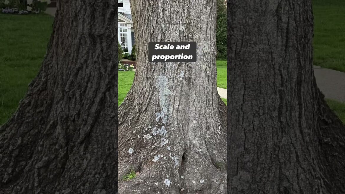 Garden design basics! 🌸 For more info visit https://stan.store/ygarden