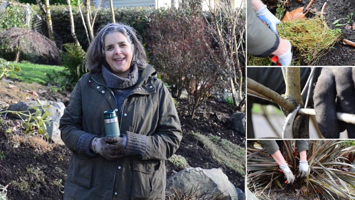 Late Winter Gardening With Susan Papanikolas