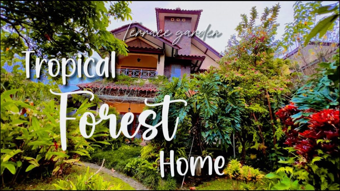 Tropical garden forest home 🌿✨| fronyard landscape design ideas Tropical garden forest home 🌿✨| fronyard landscape design ideas