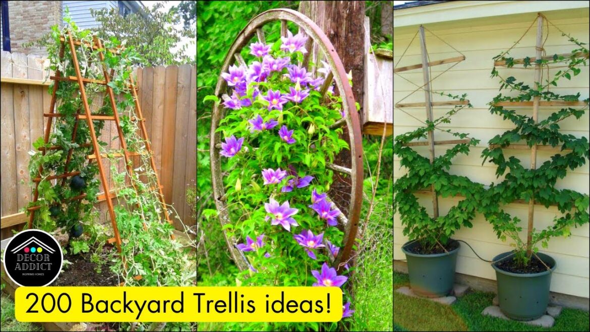 200 Backyard Trellises for Garden!
