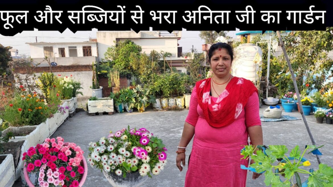 Flower and Vegetable Garden || Terrace Garden Overview