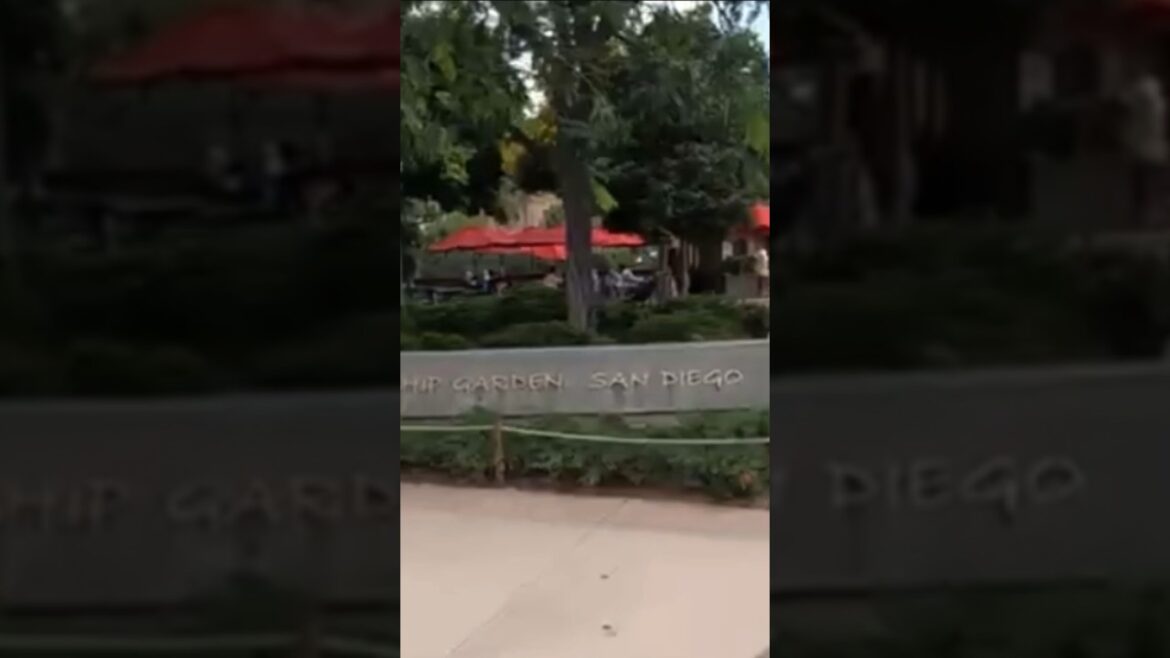 JAPANESE FRIENDSHIP GARDEN BALBOA PARK SAN DIEGO #shorts