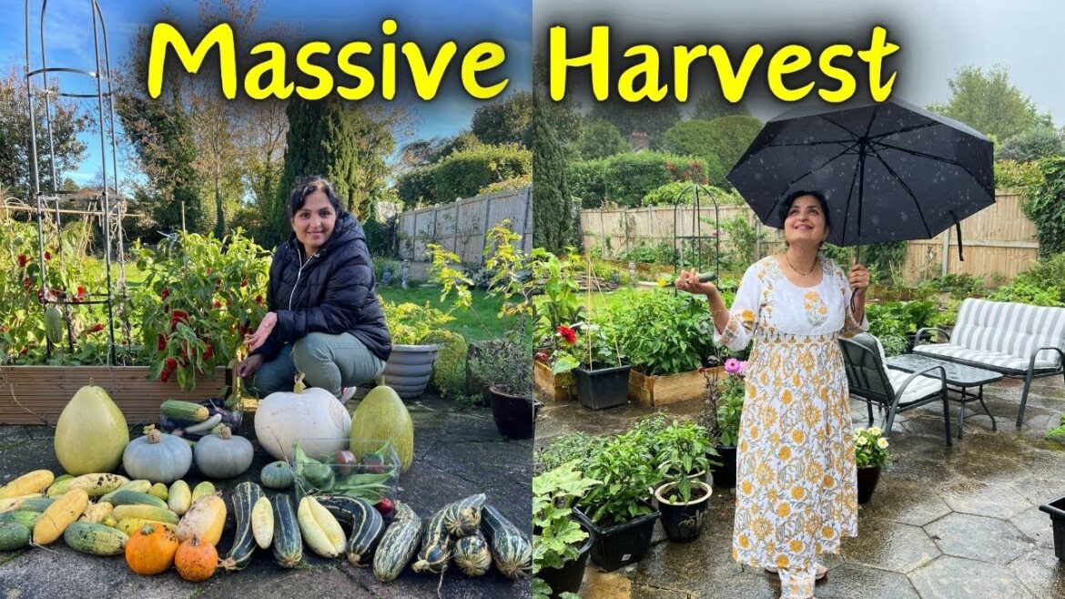 Unbelievable WINTER Garden Harvest , This is What I Harvested Today | Backyard Garden Tour #organic Unbelievable WINTER Garden Harvest , This is What I Harvested Today | Backyard Garden Tour #organic