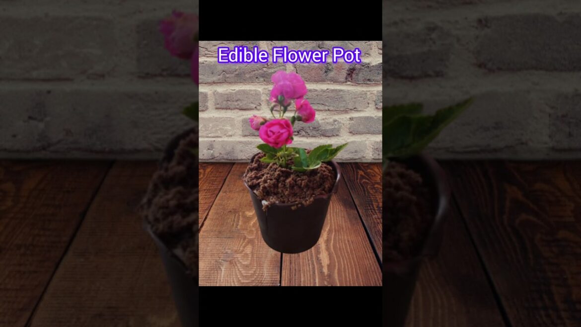 Edible Flower pot | shorts|shortsvideo|999Tadka