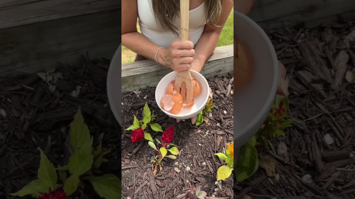 The garden hack EVERYONE needs to know this spring🪴🌷