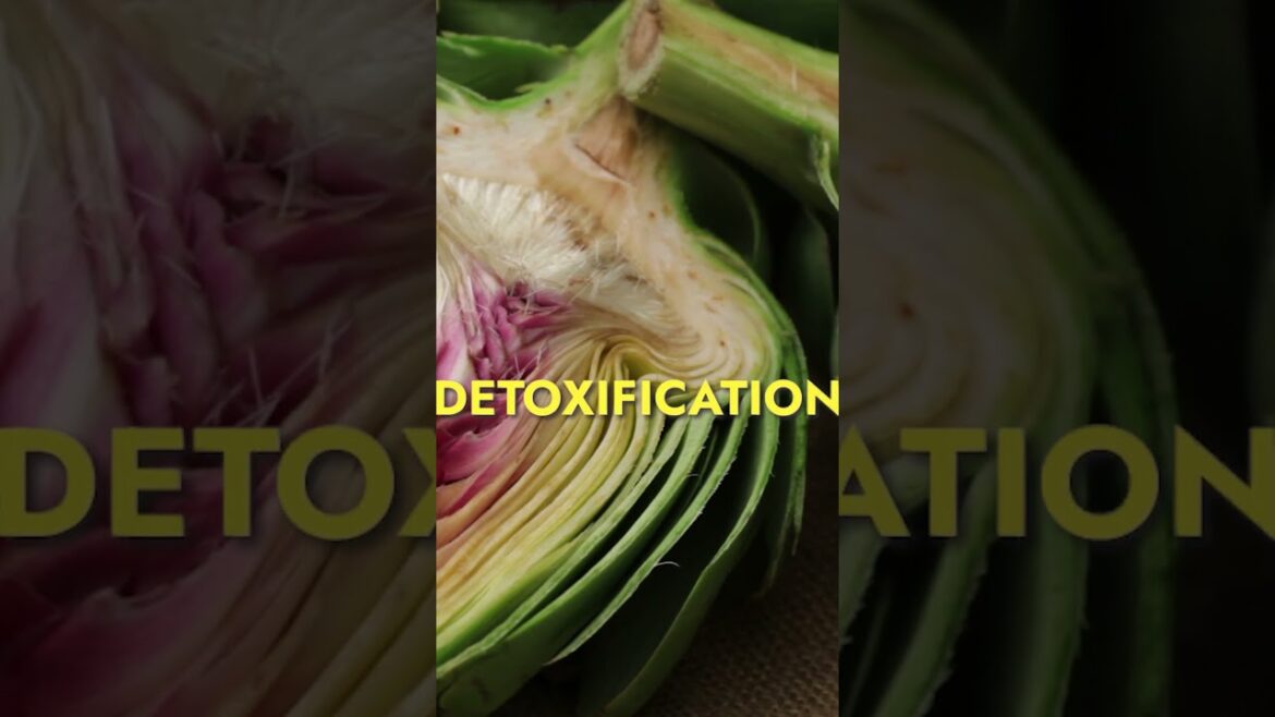 Artichokes -The Edible Armored Warriors of Wellness! ️Protect Your Health & Taste Buds! #Shorts Artichokes -The Edible Armored Warriors of Wellness! ️Protect Your Health & Taste Buds! #Shorts