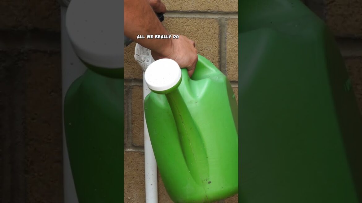 California Gardening: April Garden Guide: Top Tasks & Tips! š±š¼ #Shorts April Garden Guide: Top Tasks & Tips! š±š¼ #Shorts