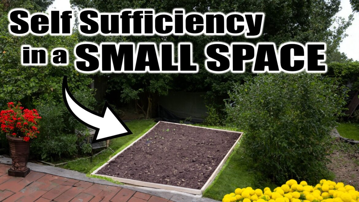 California Garden TV: 7 Tips for SELF SUFFICIENCY in a SMALL SPACE 7 Tips for SELF SUFFICIENCY in a SMALL SPACE