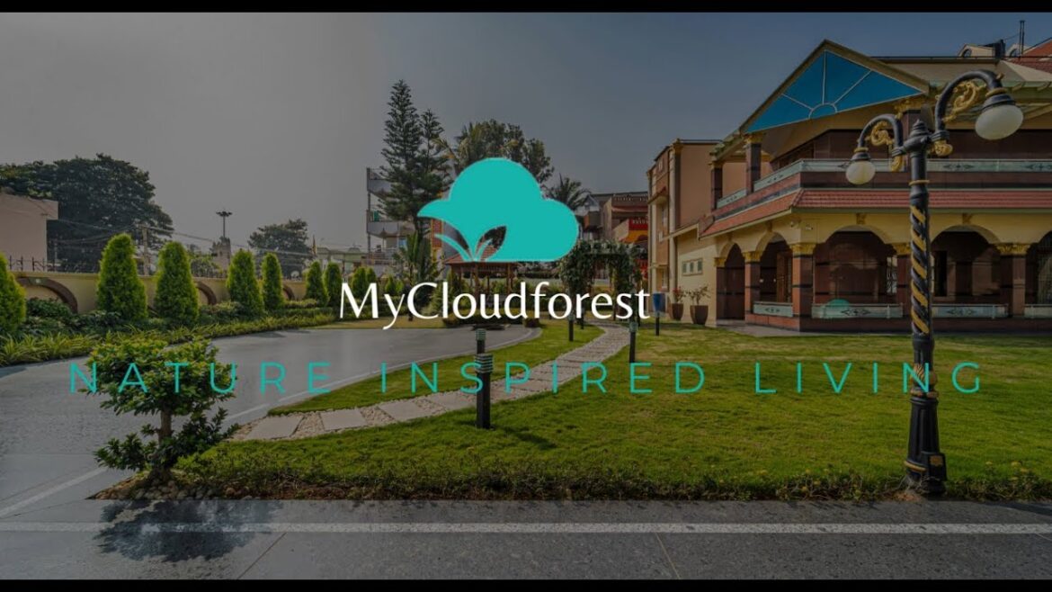 Mycloudforest Green Space/Garden Design Project Mycloudforest Green Space/Garden Design Project