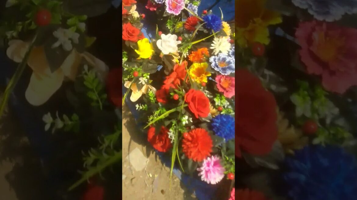 Rose flower|| gulab ka phool-गुलाब #shorts