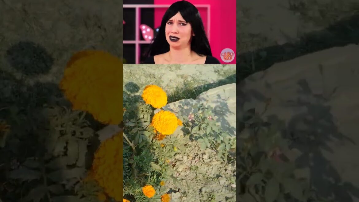 Hugh food eating & gardening. #shorts #funny​ #MultiDO​ #DIY​ #tahafun