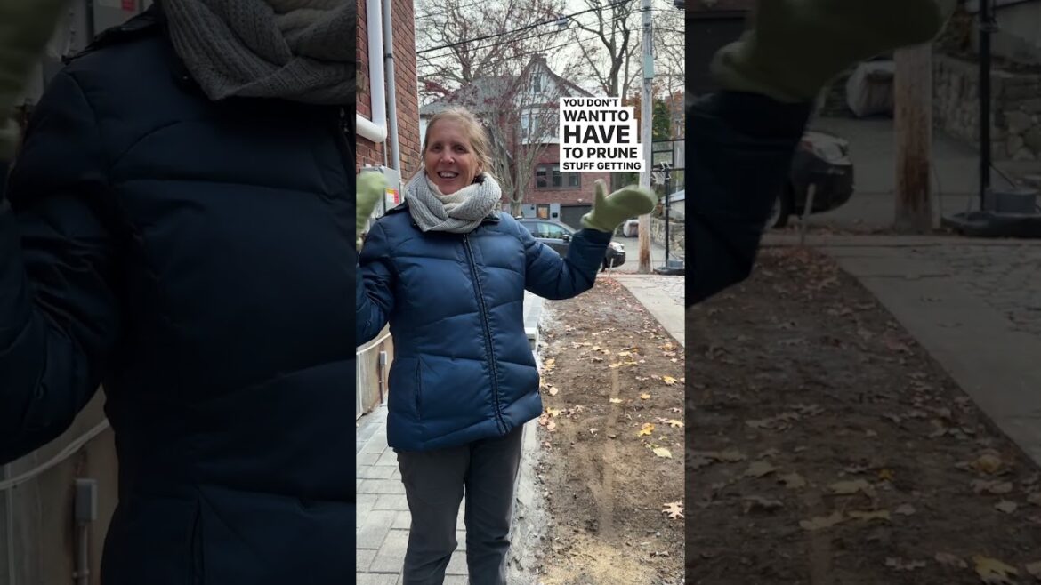 Garden Design Next To A Driveway Garden Design Next To A Driveway