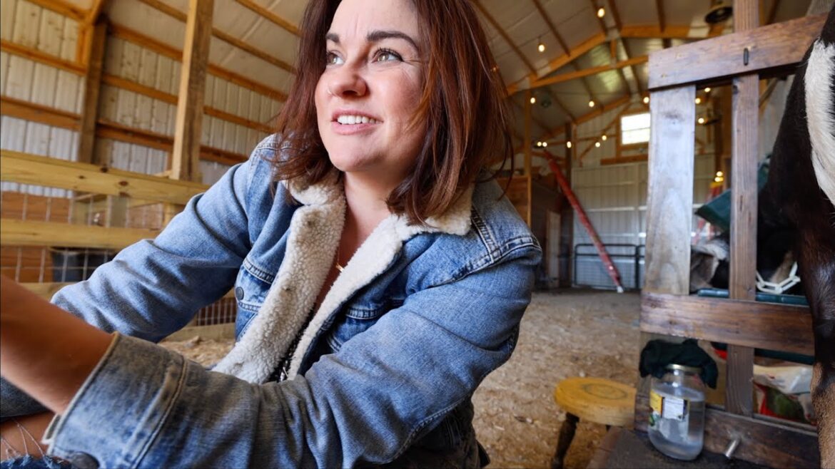 Roots and Refuge Farm: Will I miss another baby? (getting ready to leave) | VLOG Will I miss another baby? (getting ready to leave) | VLOG