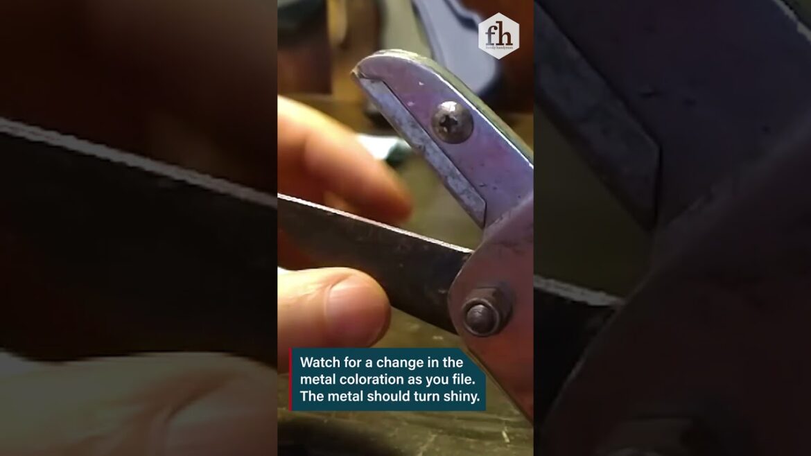 How to Sharpen Gardening Tools #Tools #Gardening #Shorts #Tips #HowTo