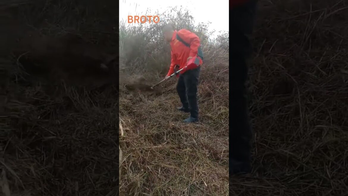 Powerful 40V Brushless Lawn Mower Review! Effortlessly Grass Trimmer, Making Gardening Easier!