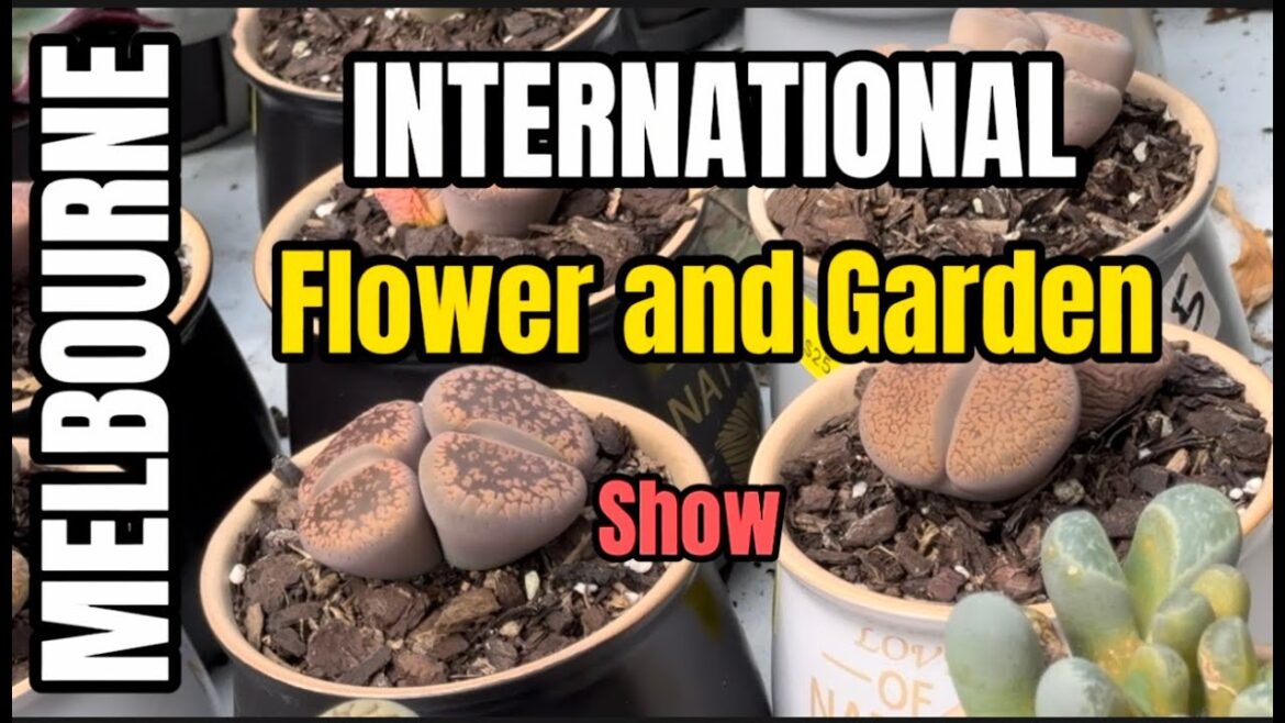 Exploring the Melbourne International Flower and Garden Show #beautiful #flowers #garden #video Exploring the Melbourne International Flower and Garden Show #beautiful #flowers #garden #video