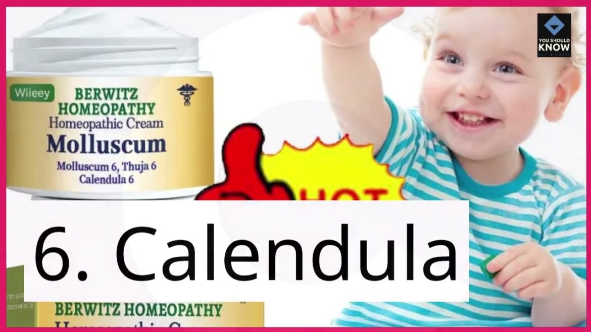 Top 10 Edible Flowers to Grow in Your Garden