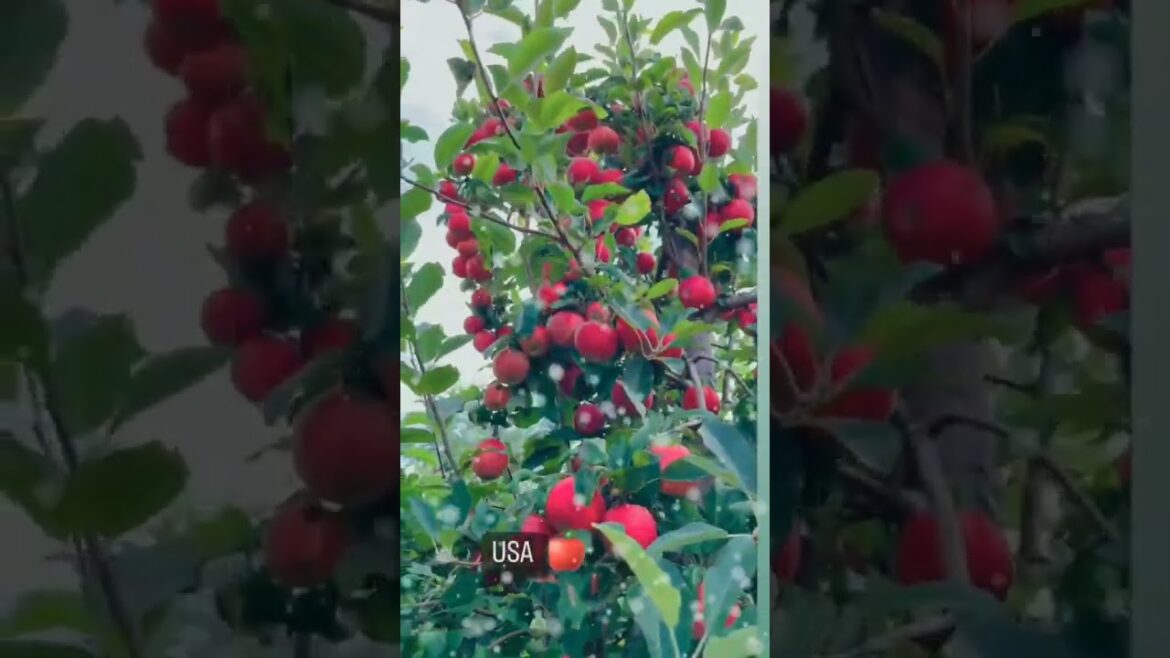 Landscape#landscapescenerydrawing #landscapewithinvisiblehand #landscapeconstruction #landsca Landscape#landscapescenerydrawing #landscapewithinvisiblehand #landscapeconstruction #landsca