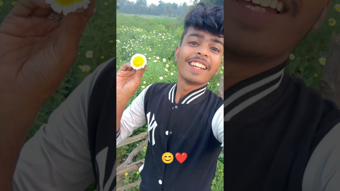 ajk sokal 7 tai mathe aslm😊 kno ? #youtubeshorts #minivlog #banglaminivlog