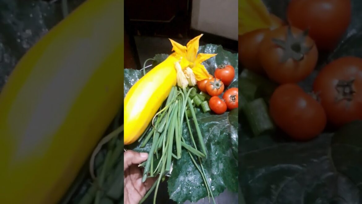 Healthy Plate from my Garden #zucchini #cherrytomato #greenonion #gardening #containergardening