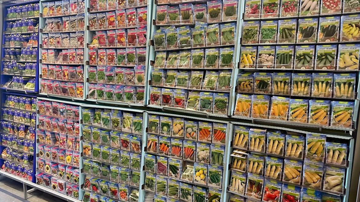 HOME DEPOT NEW 2024 SEED AND SEED STARTING SUPPLIES INVENTORY TOUR🤩BIG BOX PLANT SHOPPING🛒 HOME DEPOT NEW 2024 SEED AND SEED STARTING SUPPLIES INVENTORY TOUR🤩BIG BOX PLANT SHOPPING🛒