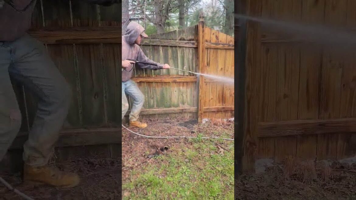 🎯Soft Washing Fences