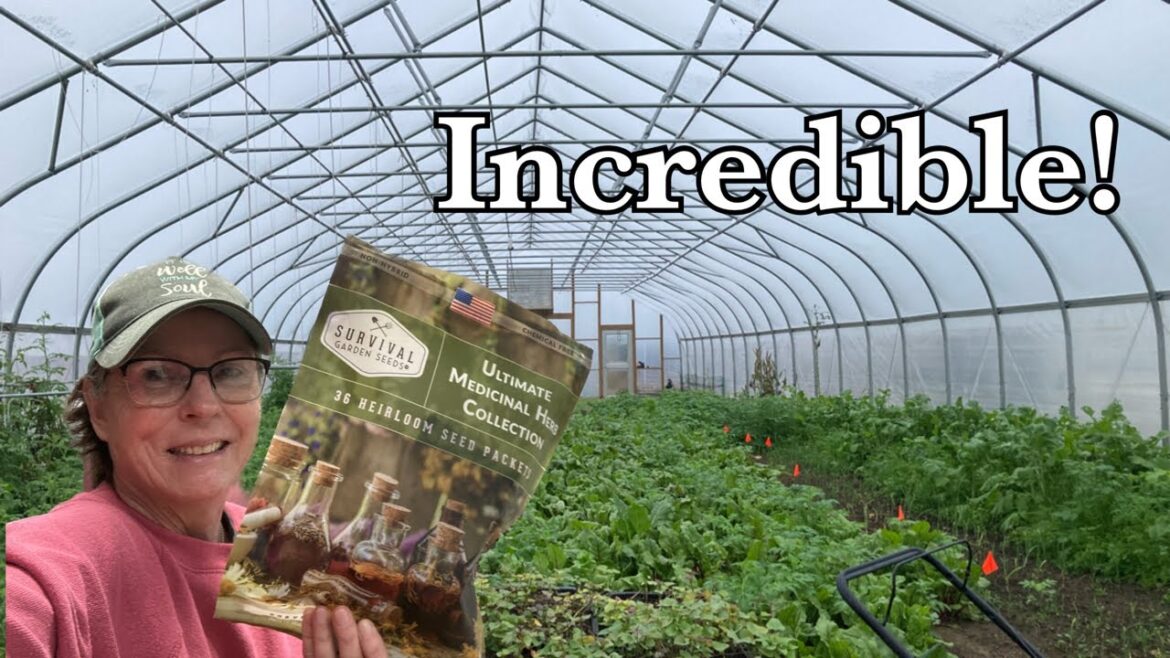 The BEST Extraordinary Herb Collection available? Preparing for 2024!