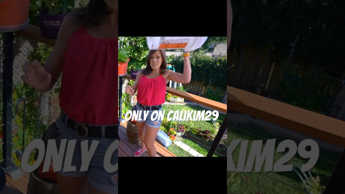 Throwing Things Again