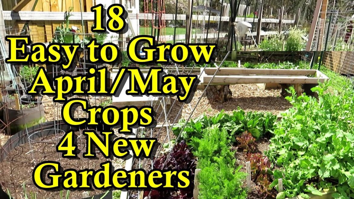 18 Easy to Grow Crops for April/May & the Fall with Growth Examples