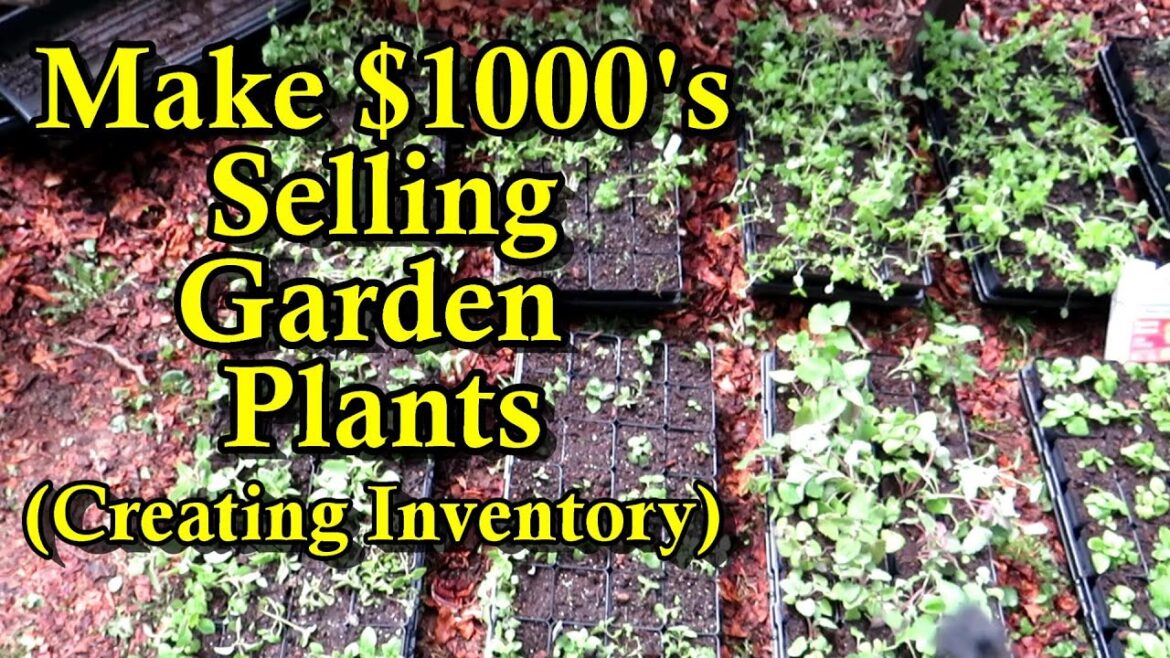 Gary Pilarchik: Make $1000’s Selling Garden Plants at a Plant Yard Sale: How to Build Up Plant Inventory Easily! Make $1000's Selling Garden Plants at a Plant Yard Sale: How to Build Up Plant Inventory Easily!