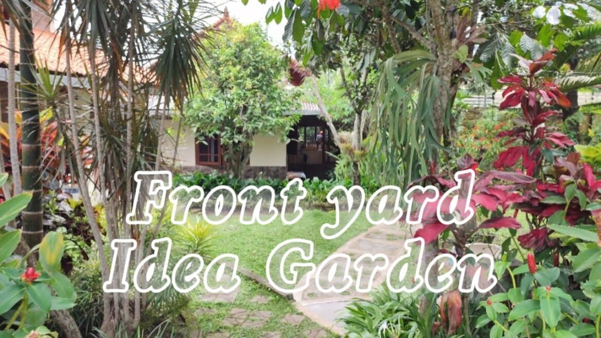 Design plants small garden idea || Grass and front yard landscape || Outdoor Cozy place