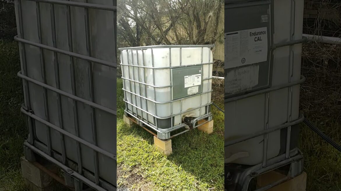 We captured 500 LITRES of excess water in ONE rainstorm! #rain #gardening #storm We captured 500 LITRES of excess water in ONE rainstorm! #rain #gardening #storm