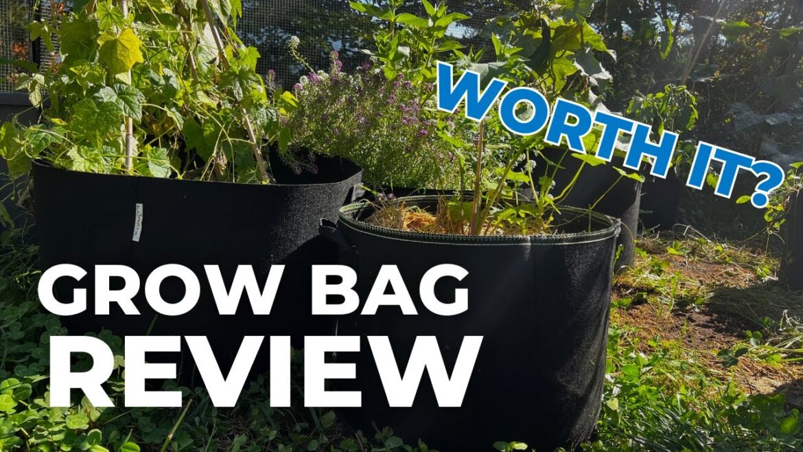 Should You Use Grow Bags for Container Vegetable Gardening? Should You Use Grow Bags for Container Vegetable Gardening?