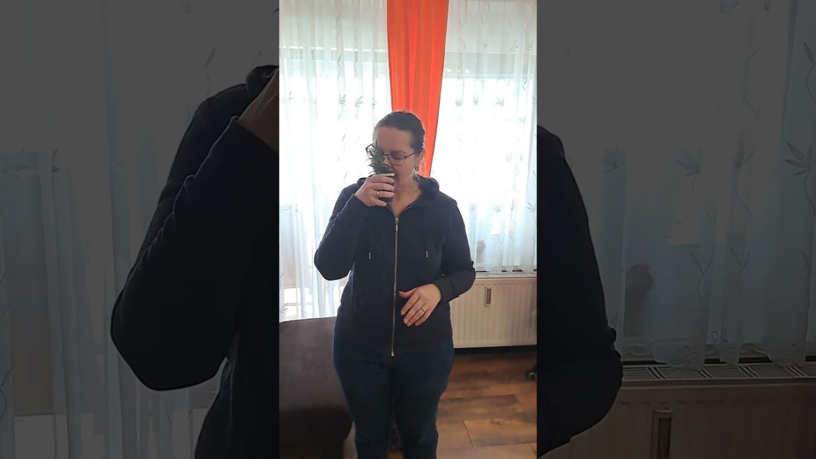 The flower pot floats, it seems magical The flower pot floats, it seems magical